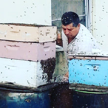 Load image into Gallery viewer, Bees removals 🐝 , from roof or anywhere. Warranty on the job . Removemos abejas de casas y lugares
